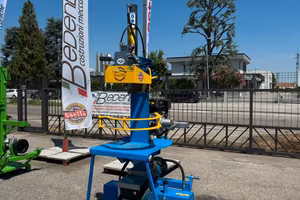 Spaccalegna verticale 16t corsa 55 cm doppio azion