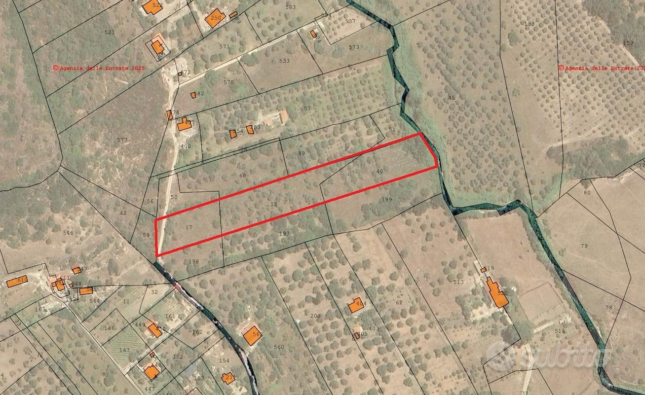 Oliveto di 8216 mq loc. Monte Carru - Vista 3
