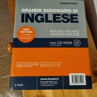 Dizionario inglese Picchi