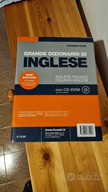 Dizionario inglese Picchi