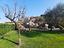 Immagine 14