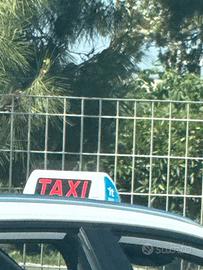 Licenza taxi comune di roma