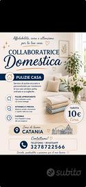 Stiratrice/ collaboratrice domestica
