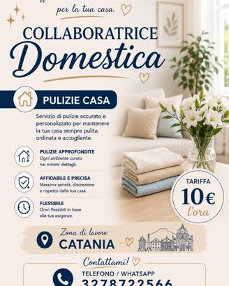 Stiratrice/ collaboratrice domestica