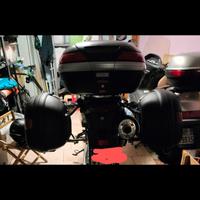 telai per valigie laterali 