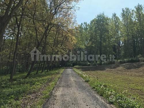 Appartamento – Bra, San Michele, Cuneo - Vista 5