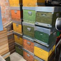 Arnie cubo 10 telaini + altro materiale api