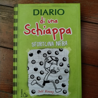 Libro: diario di una schiappa