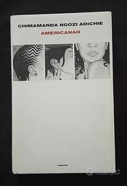 Americanah - Chimamanda Ngozi Adichie