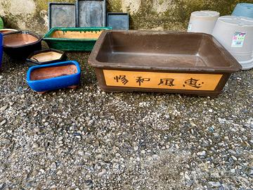 Vasi per bonsai.
