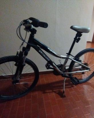 bici specialized