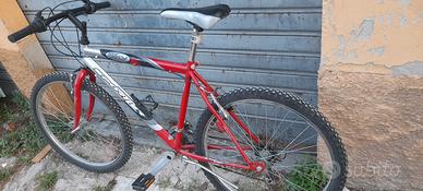 Bicicletta Mountain Bike 