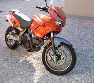 Cagiva Gran Canyon 900 - 1998 motore ducati ASI