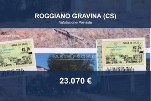 Immobile in asta di 5250 m² a Roggiano Gravina