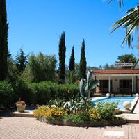 Gestione stagionale ristorante-pizzeria a Vieste