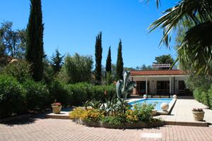 Gestione stagionale ristorante-pizzeria a Vieste