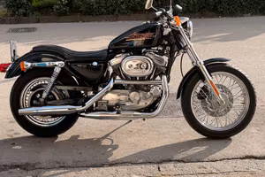 Harley davidson 883 sportster