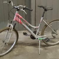 bicicletta mountain bike bambina