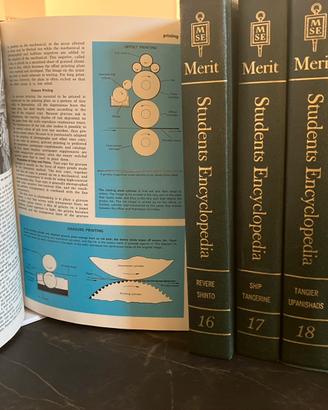 Enciclopedia Americana - MSE