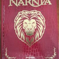 libro le cronache di Narnia