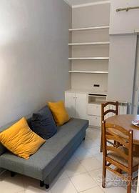 TORREVECCHIA- bilocale/RISTRUTTURATO