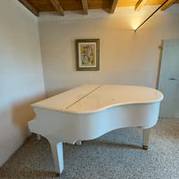 Pianoforte quarto di coda Feurich