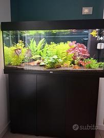 Acquario Juwel Rio 180 completo piante-pesci