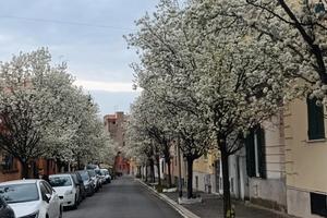 Appartamento indipendente, metro A