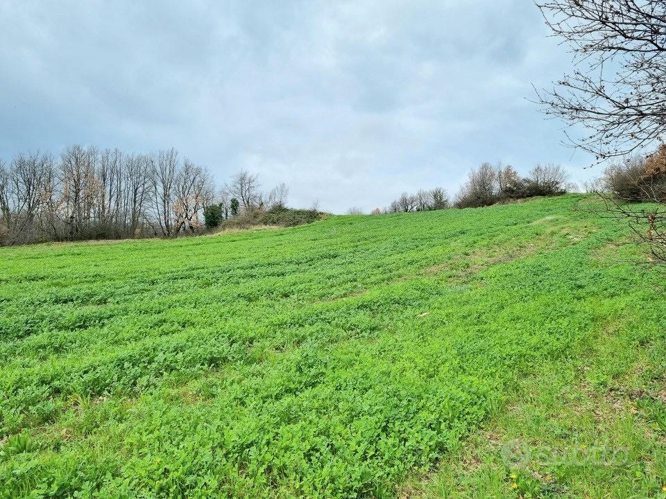 Terreni agricoli di 9000 mq - Vista 3
