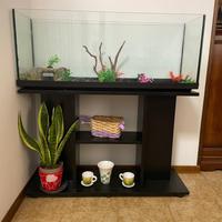 Acquario 100l