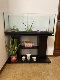 Acquario 100l