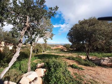 Poggio dei pini panoramico terreno 1400 mq