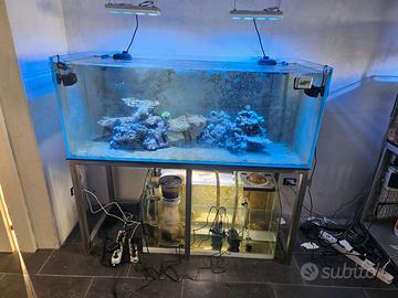 Acquario marino