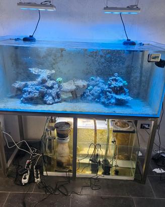 Acquario marino