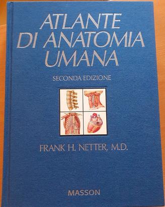 Atlante di anatomia umana