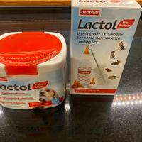 Latte in polvere per cagnolini