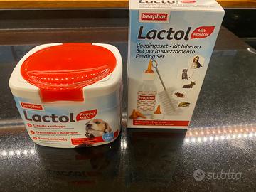 Latte in polvere per cagnolini