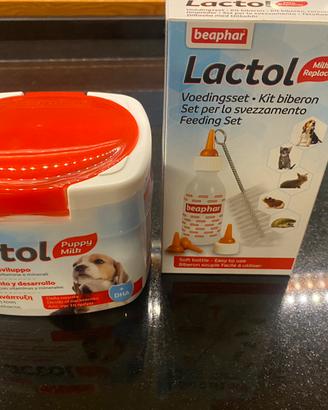 Latte in polvere per cagnolini