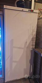 Armadio freezer professionale verticale – f