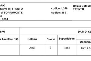 Bosco per taglio legna