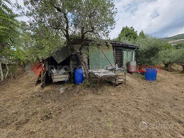 Terreno Agricolo Pistoia [Cod. rif 3242375VRG]