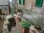 Immagine 21