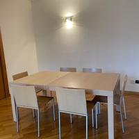 Tavolo e 6 sedie poliform