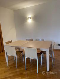 Tavolo e 6 sedie poliform