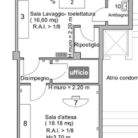 Toelettatura per cani e gatti