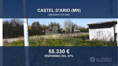 Immobile in asta di 34299 m² a Castel d'Ario