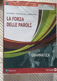 Libro di testo