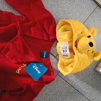 carnevale Winnie Pooh 