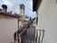 Immagine 19
