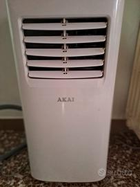 Pinguino condizionatore